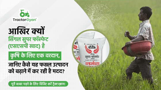 SSP Fertilizer: Price, Uses and Benefits of Single Superphosphate the Finest Fertilizer for Healthy Plants image