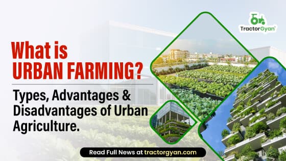 What is Urban farming : Importance, Types, Advantages & Disadvantages of Urban Agriculture image