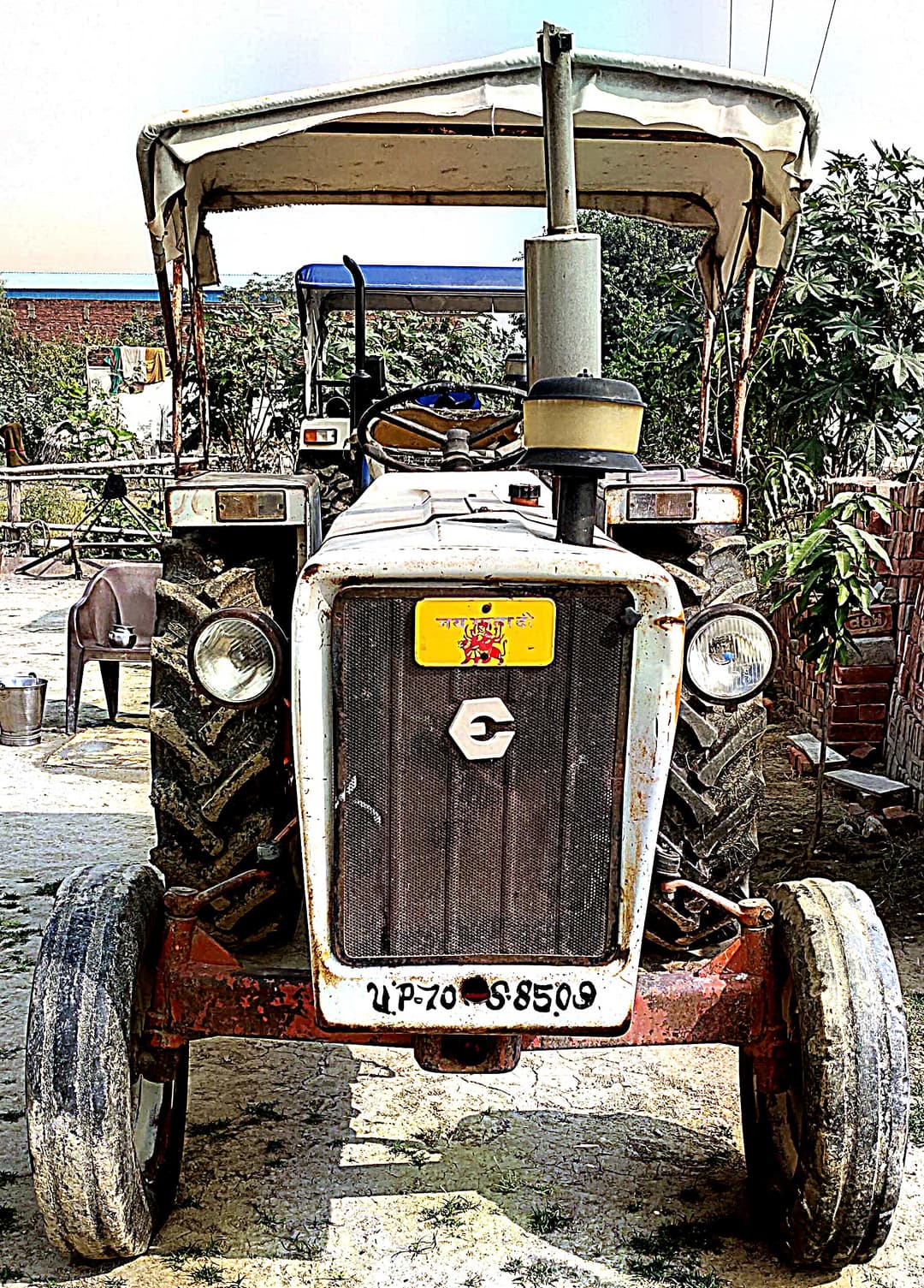 Escorts Josh 335 (1)