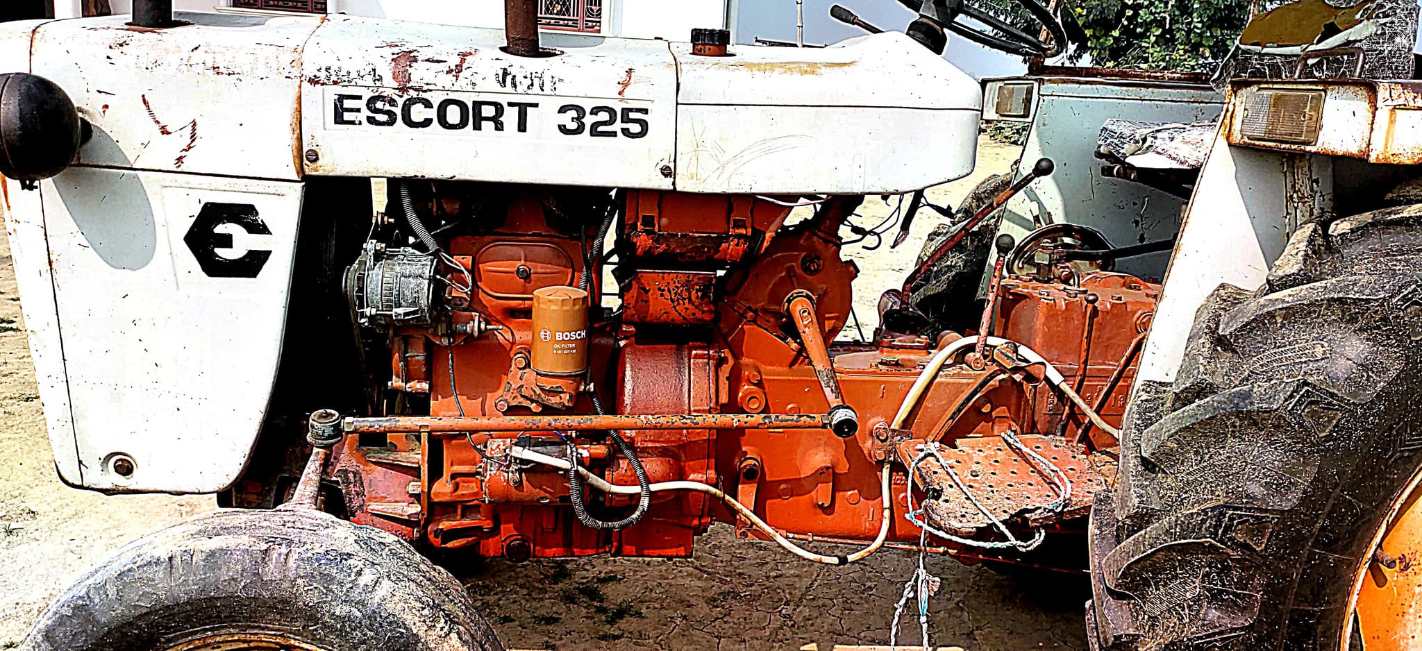 Escorts Josh 335 (2)