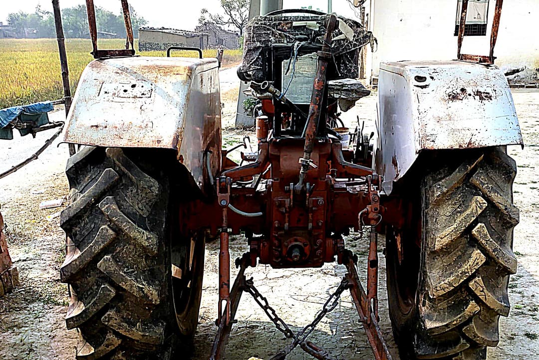 Escorts Josh 335 (3)