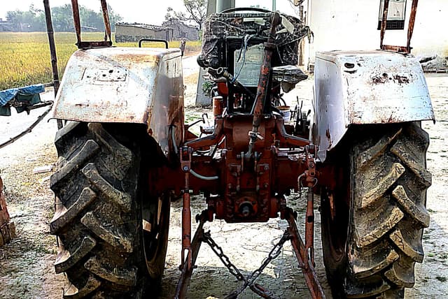 Escorts Josh 335 (3)