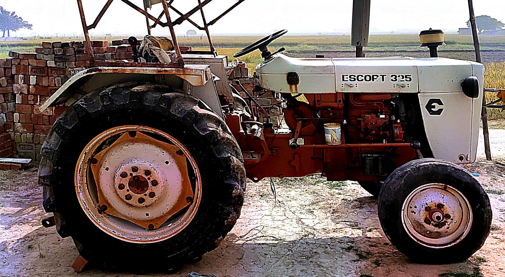 Escorts Josh 335 (4)