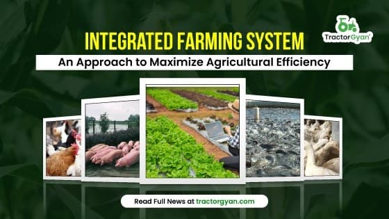 Integrated Farming System: An Approach to Maximize Agricultural Efficiency image