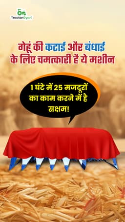 गेहूं की कटाई और बंधाई में किसान इस मशीन से बचाए लाखो रुपये, 1 घंटे में 25 मजदूरों कर सकती है काम!