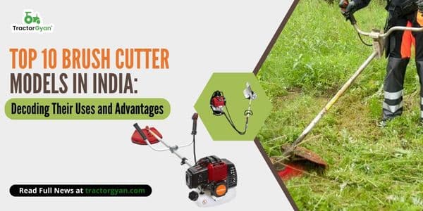 Top 10 Brush Cutter Models In India: Decoding Their Uses and Advantages image