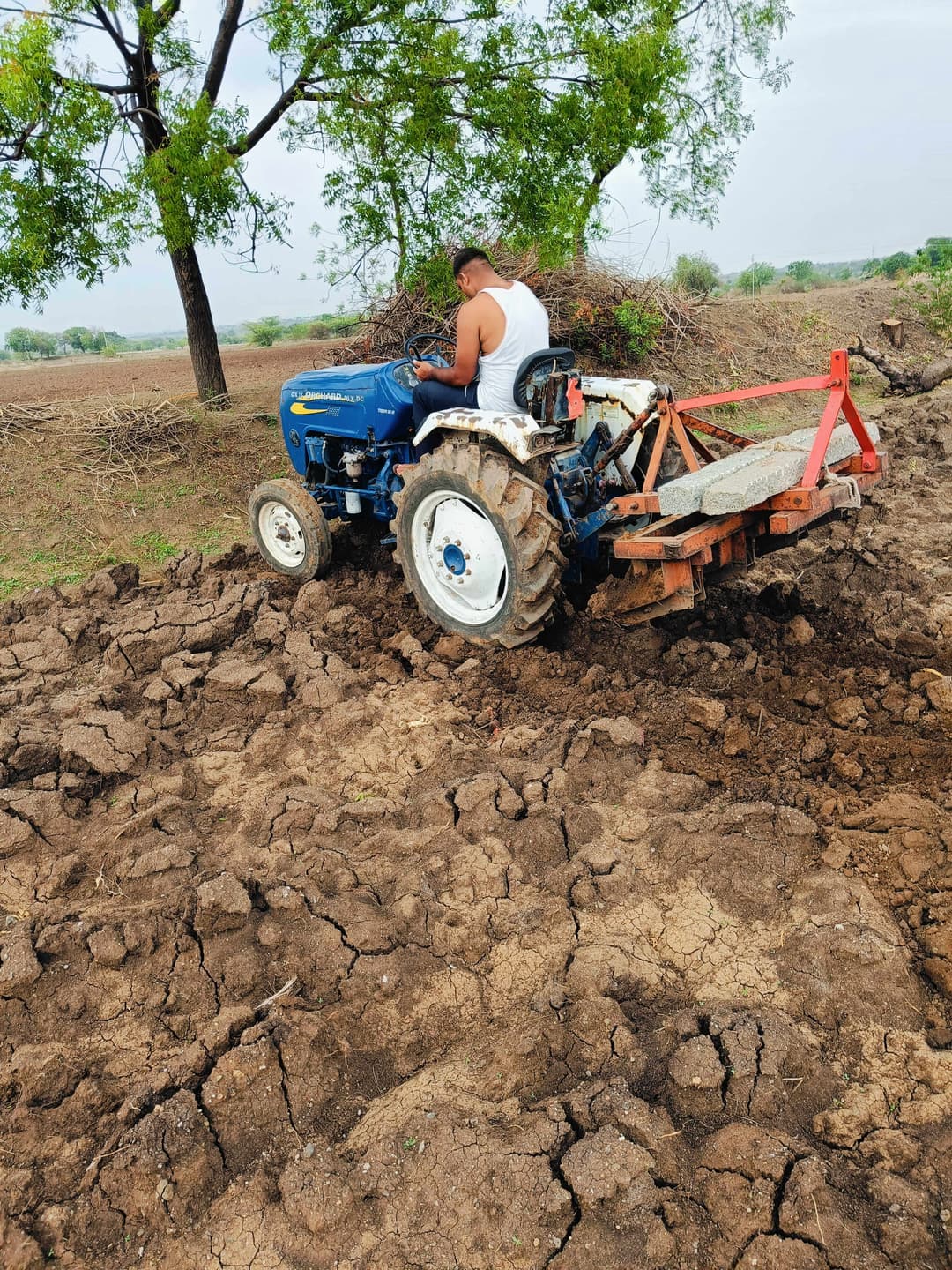 Force Orchard 30 (2)