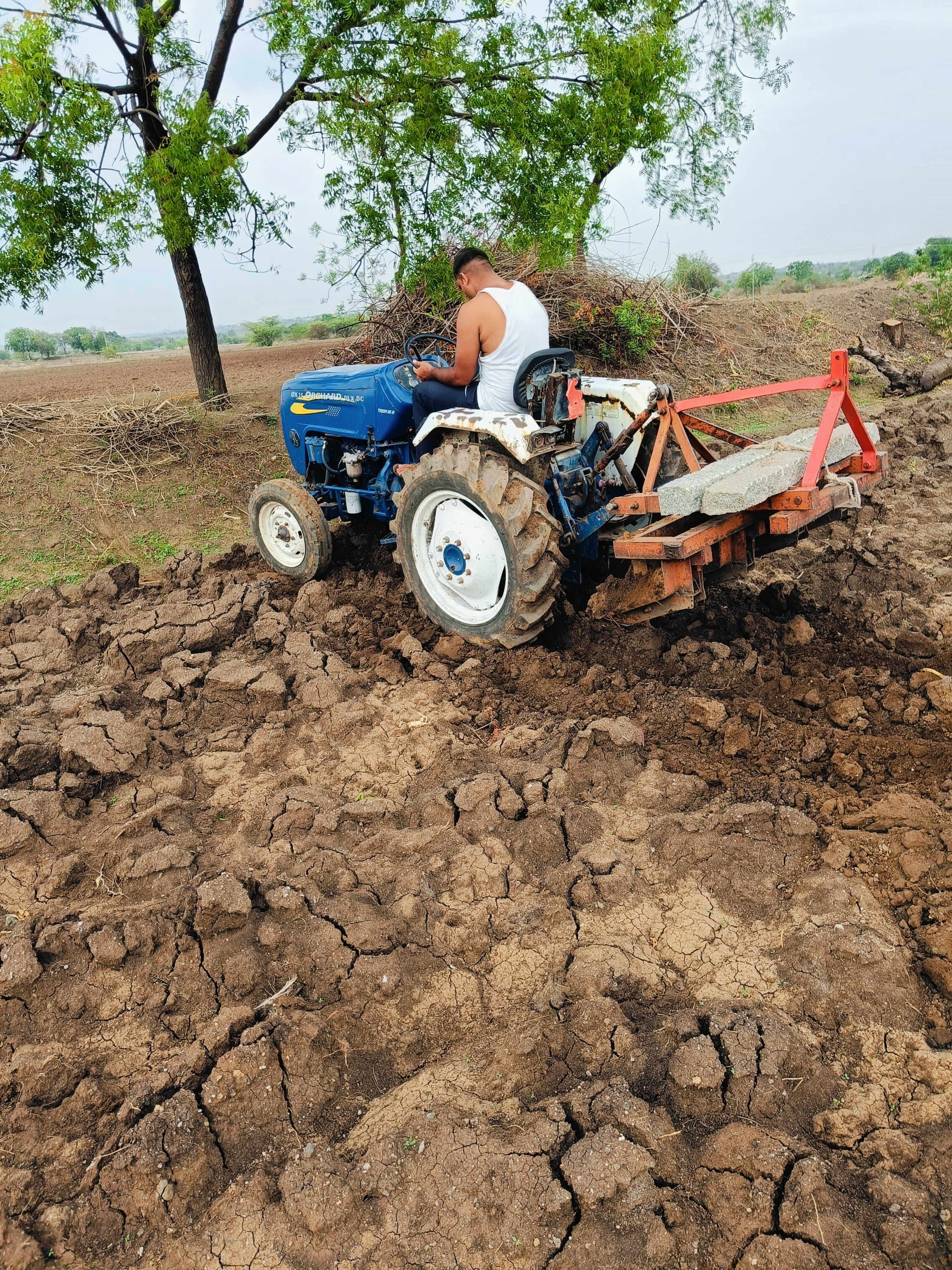 Force Orchard 30 (2)