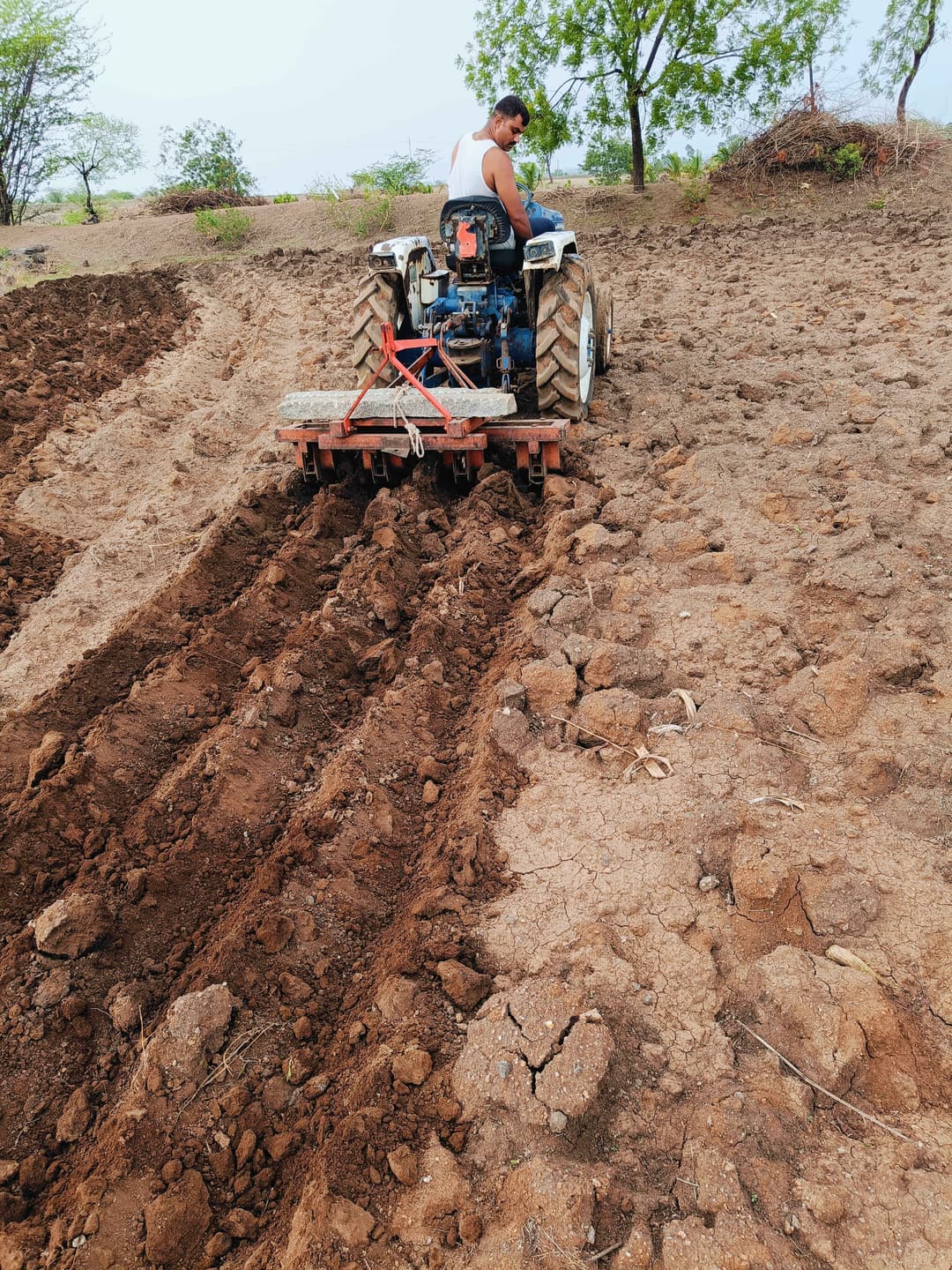 Force Orchard 30 (3)