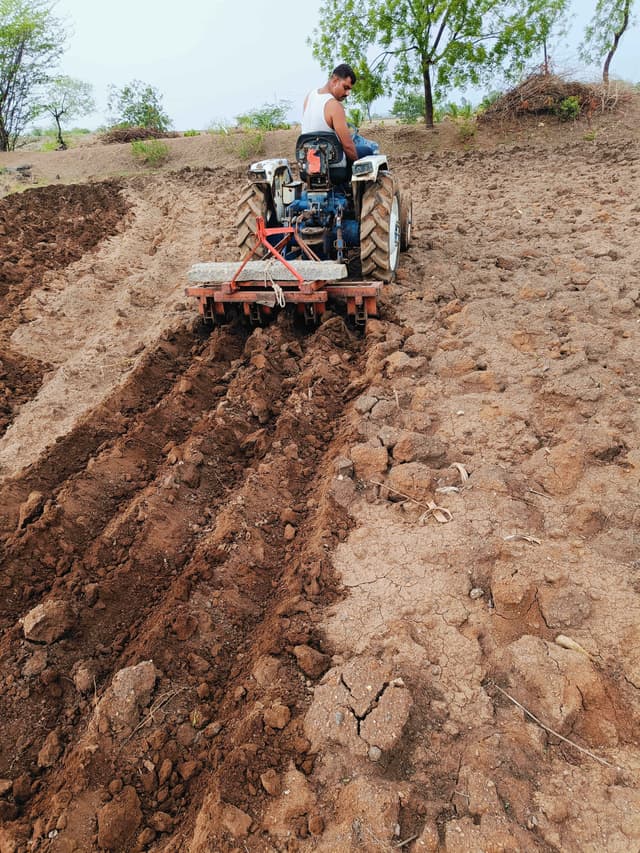 Force Orchard 30 (3)