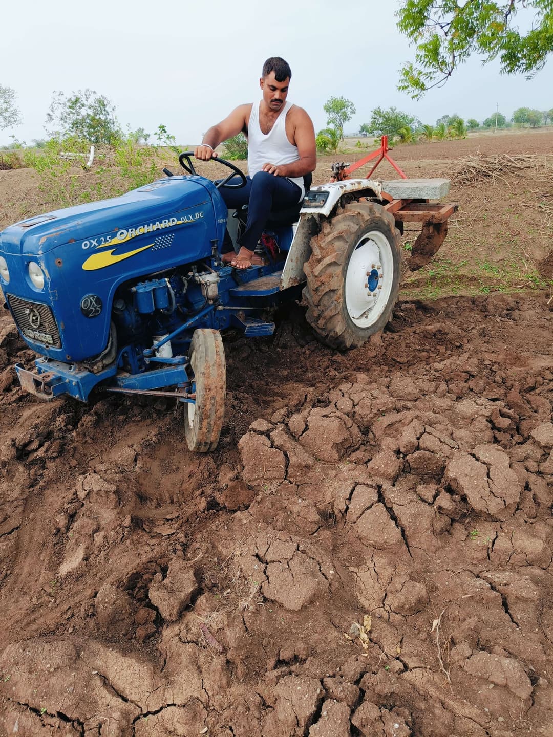 Force Orchard 30 (4)