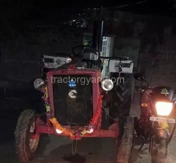 Escorts Josh 335 image 1