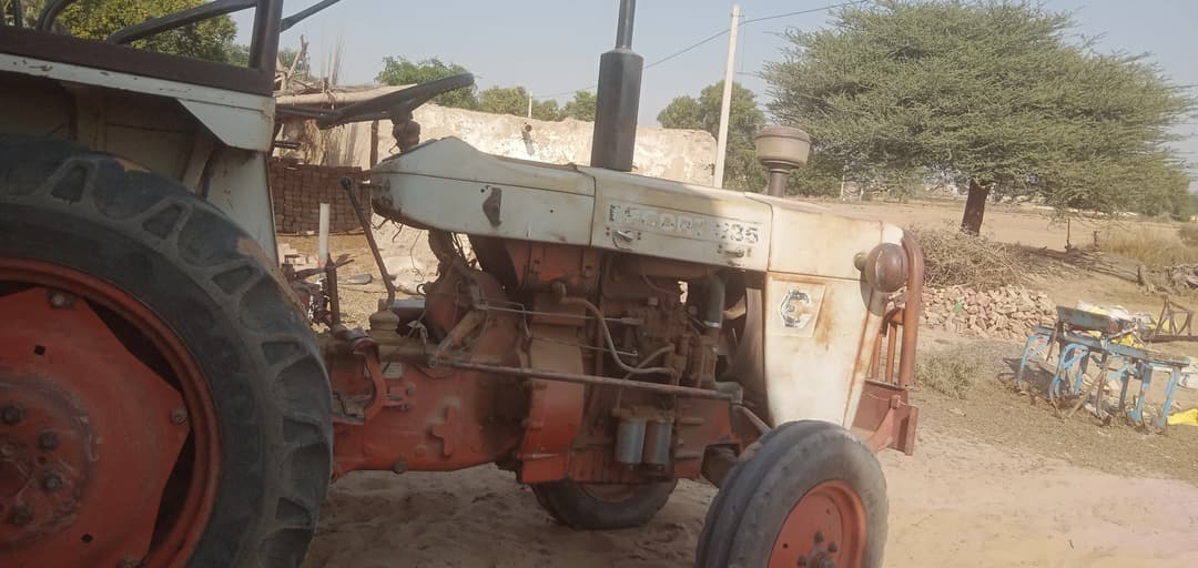 Escorts Josh 335 (4)