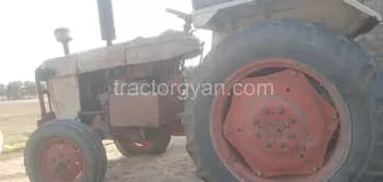 Escorts Josh 335 image 1