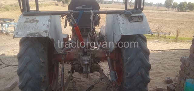 Escorts Josh 335 (3)