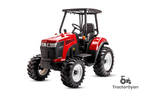 Maxgreen Nandi 25