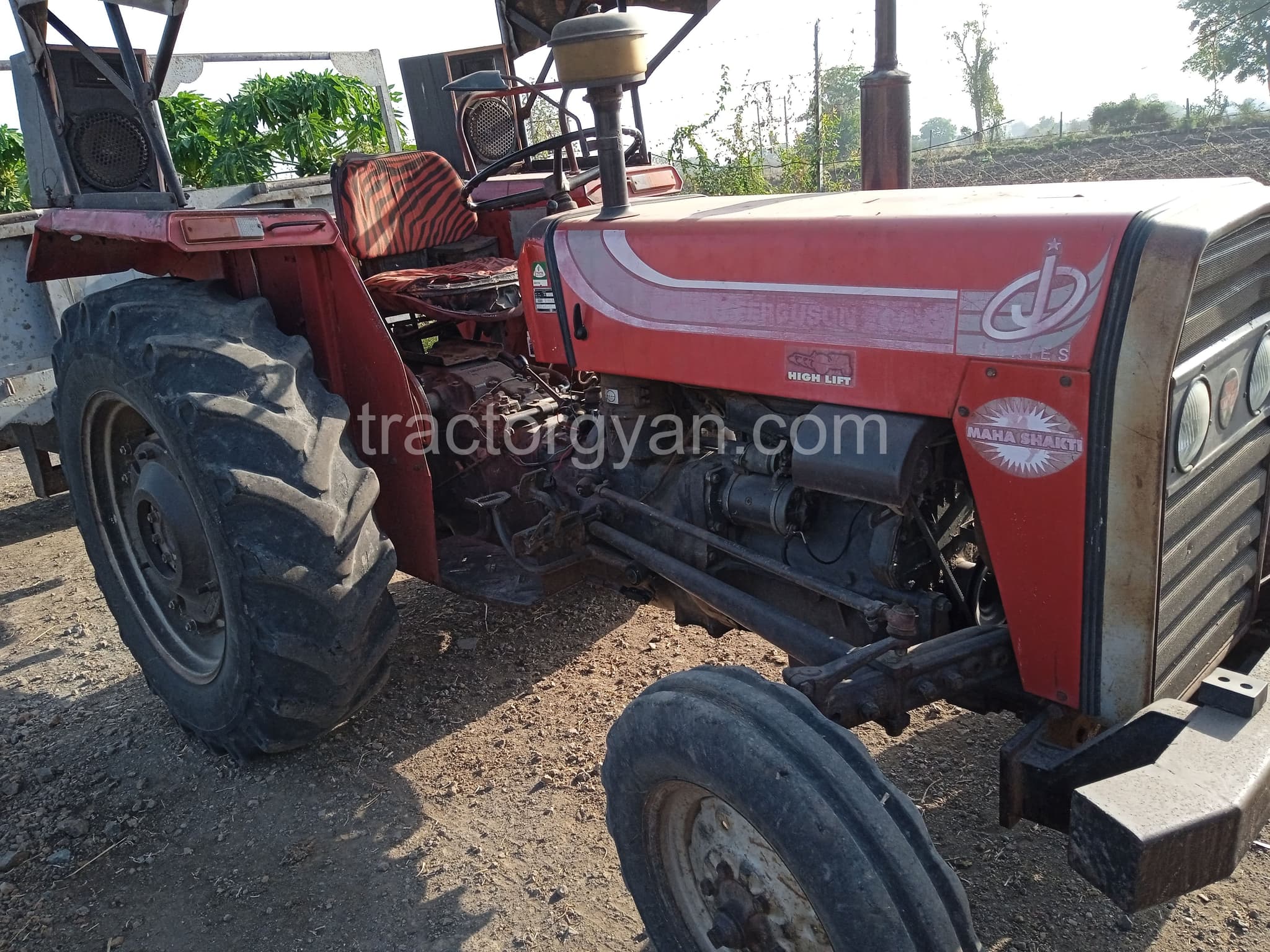 Massey ferguson 245 DI (2)