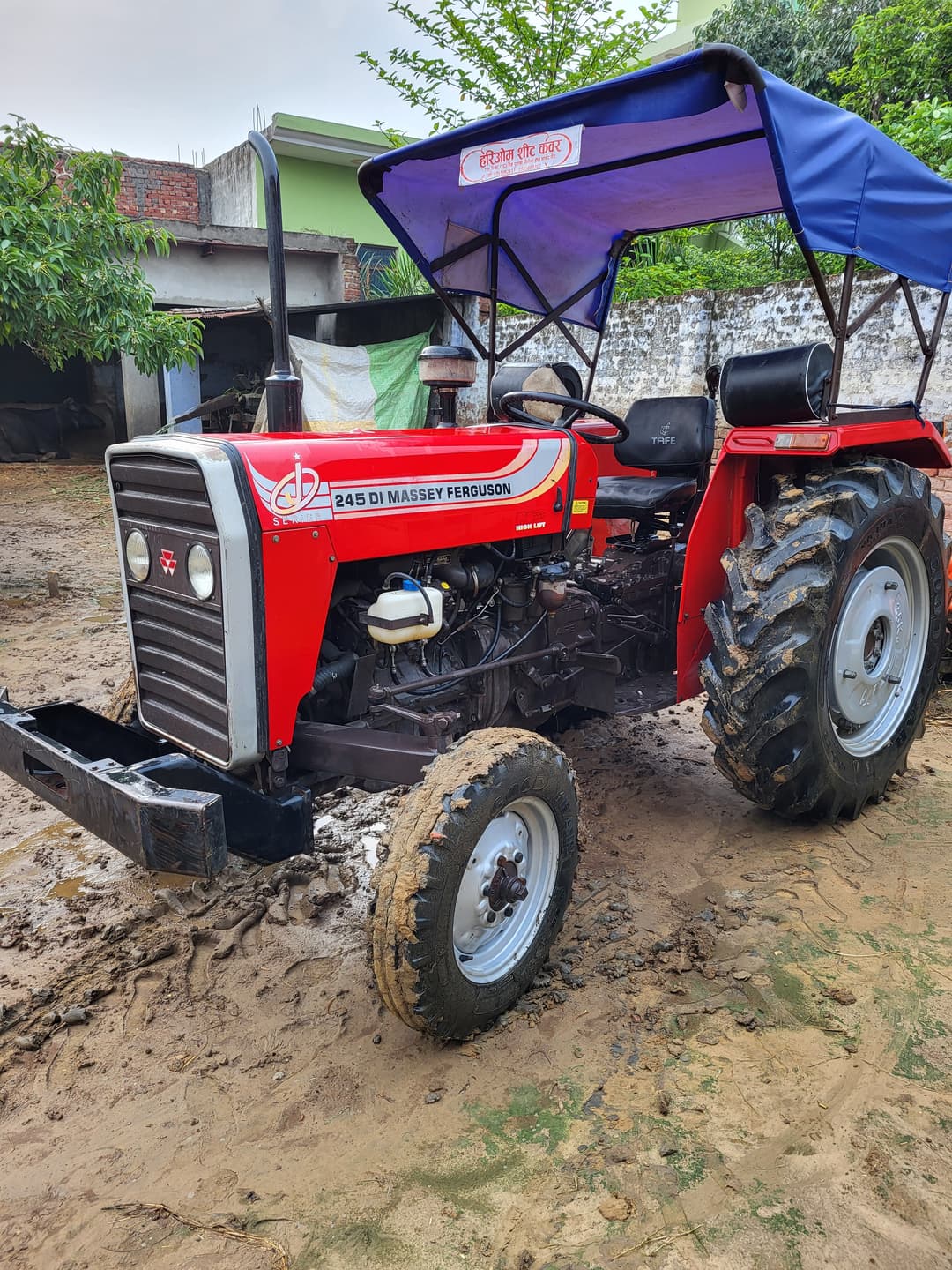 Massey ferguson 245 DI (2)