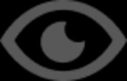 views-icon