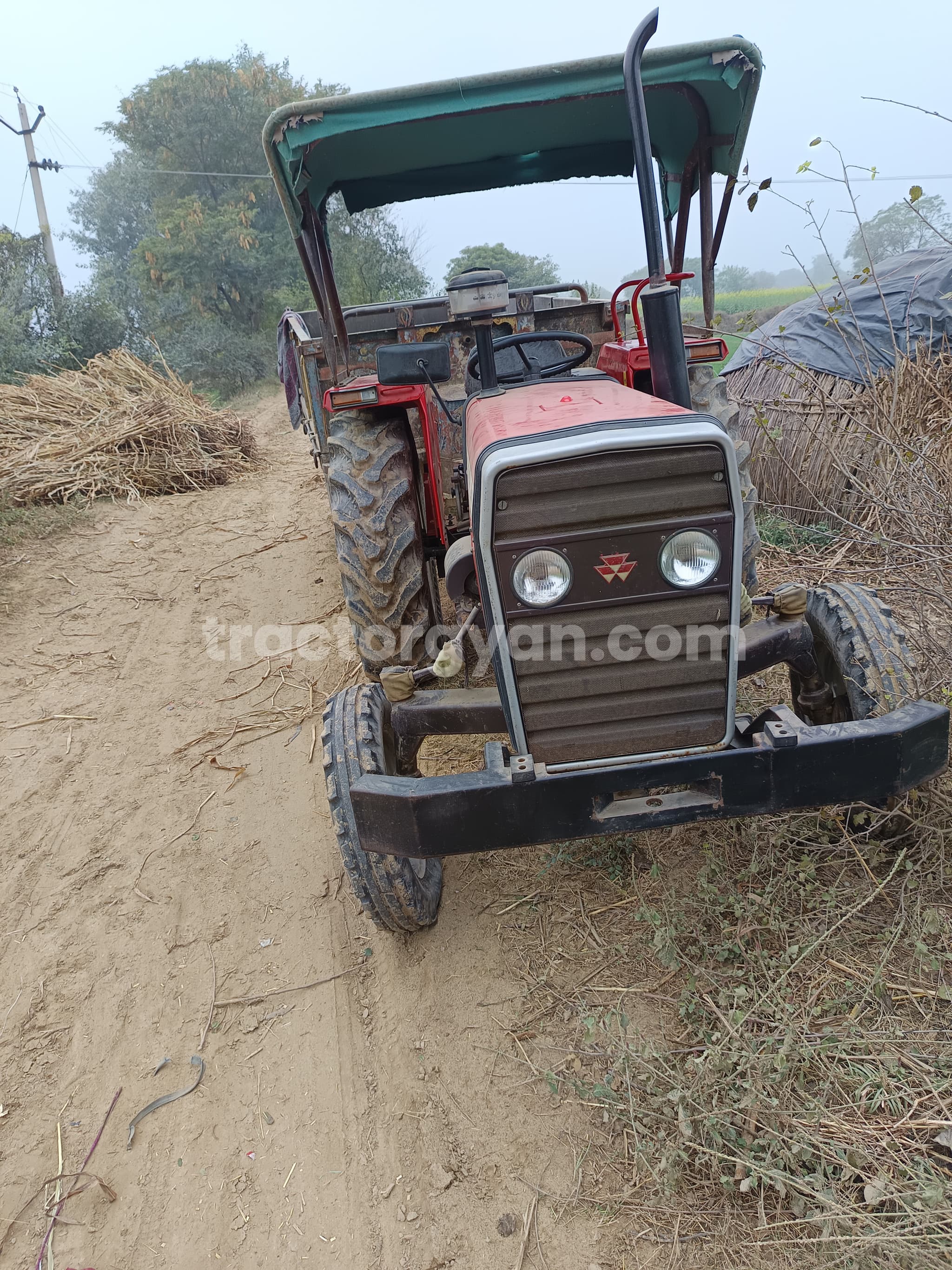 Massey ferguson 241 DI Planetary Plus