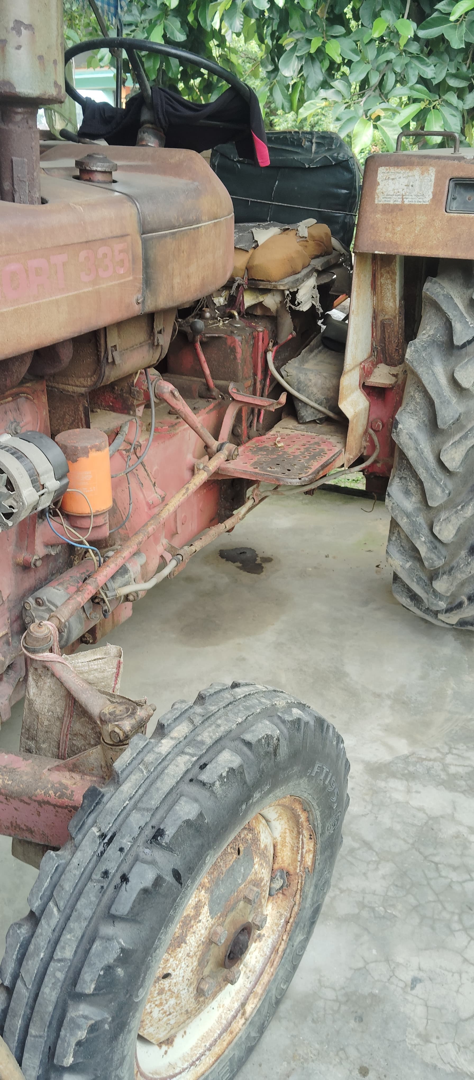 Escorts Josh 335 (2)