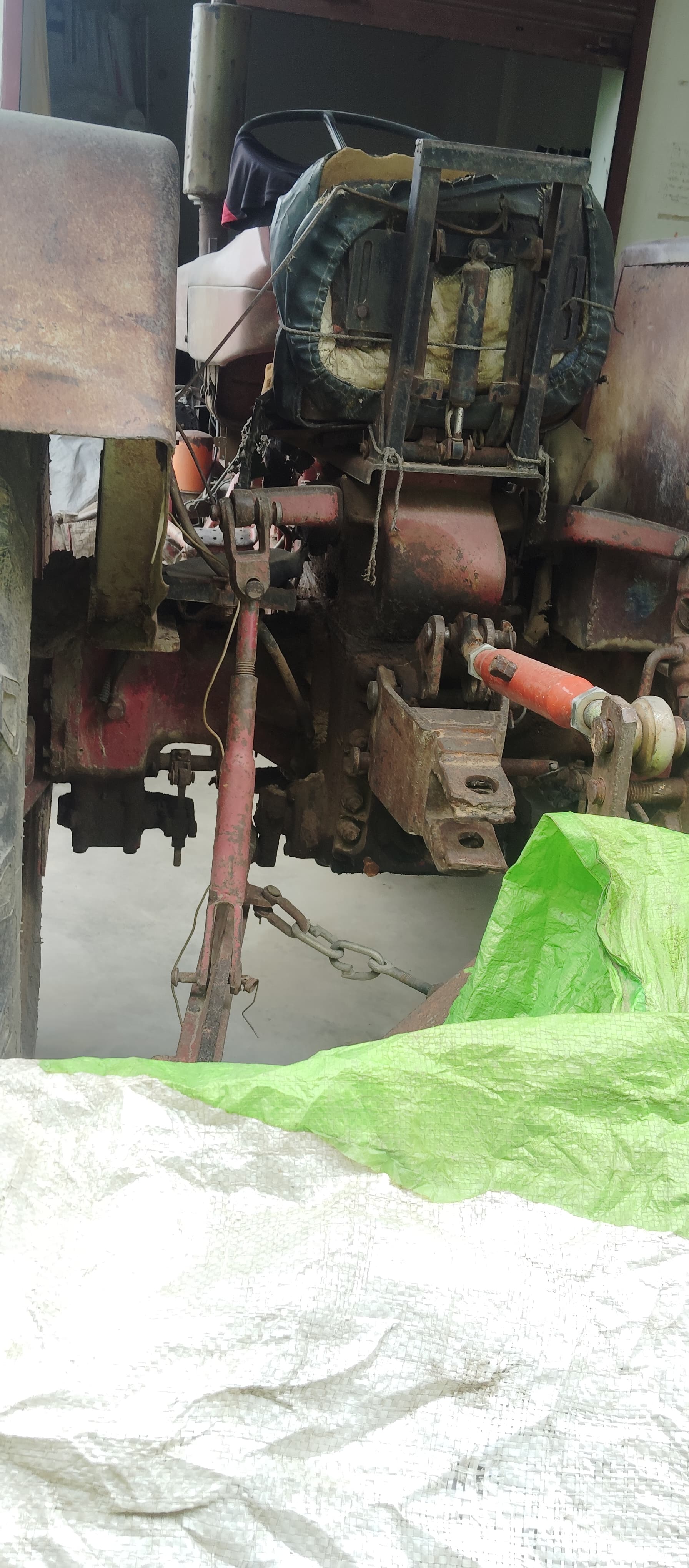 Escorts Josh 335 (3)