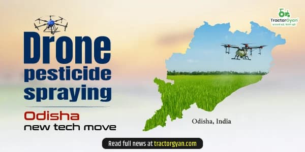 How drone pesticide spraying is giving Odisha a technological shift in agriculture? How drone pesticide spraying is giving Odisha a technological shift in agriculture? image