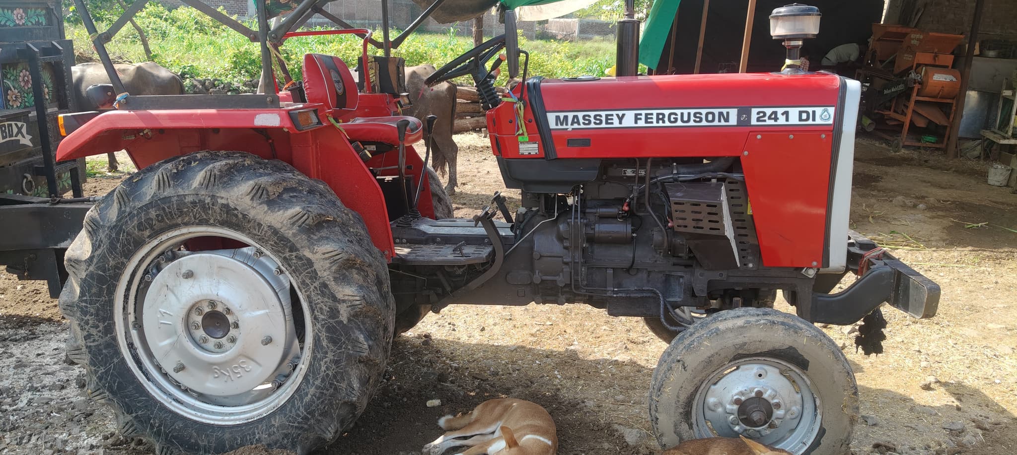 Massey ferguson 241 DYNATRACK (2)