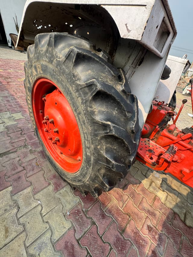 Escorts Josh 335 (4)