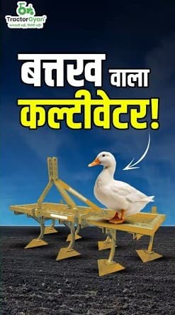What is Duckfoot Cultivator? Video – Tractor Gyan
