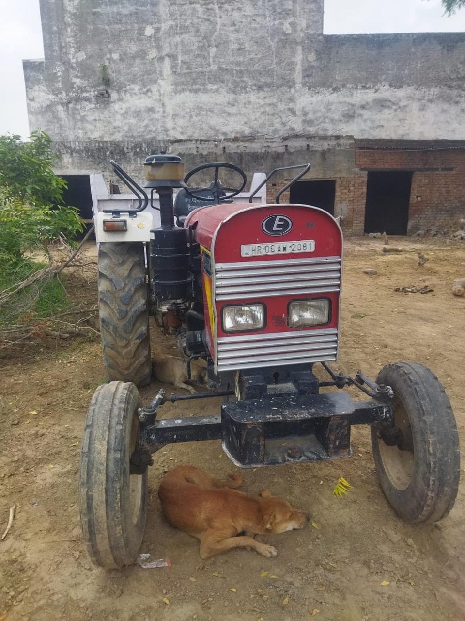 Eicher 242 (25HP) (1)