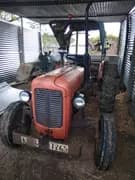 Massey ferguson 1035 DI (1)
