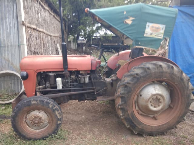 Massey ferguson 1035 DI (4)