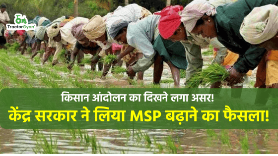किसान आंदोलन का दिखने लगा असर! केंद्र सरकार ने लिया है MSP बढ़ाने का फैसला! image