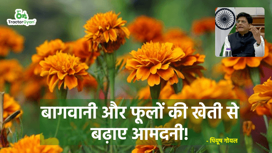 बागवानी और फूलों की खेती से बढ़ाए आमदनी! - पियूष गोयल image