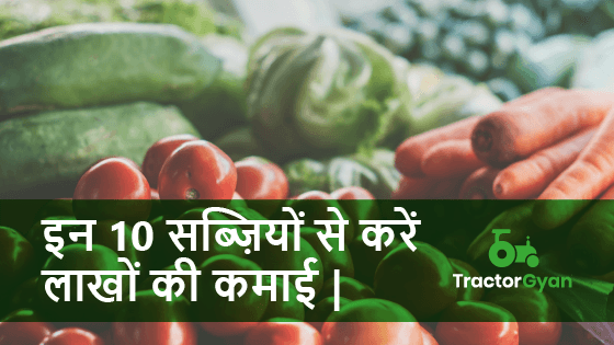 इन 10 सब्जियों से करें लाखों की कमाई image