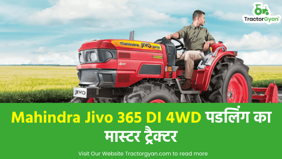 Mahindra Jivo 365 DI 4WD पडलिंग का मास्टर ट्रैक्टर image
