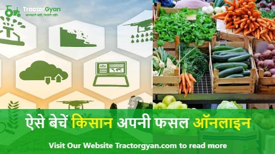 ऐसे बेचें किसान अपनी फसल ऑनलाइन ऐसे बेचें किसान अपनी फसल ऑनलाइन image