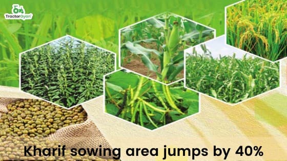 Kharif Planting rises 40% on strong monsoon start image