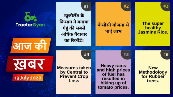Agriculture News । आज की खेती की खबर 13/07/2020 image
