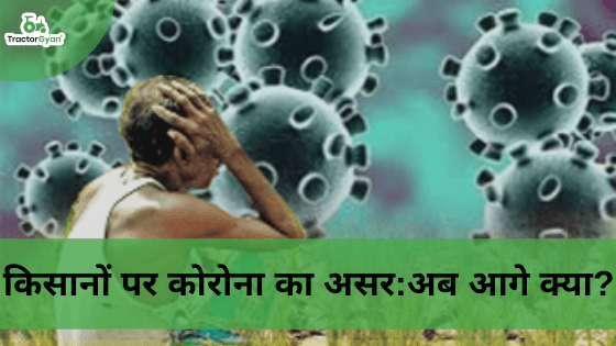 किसानों पर कोरोना का असर: अब आगे क्या? image