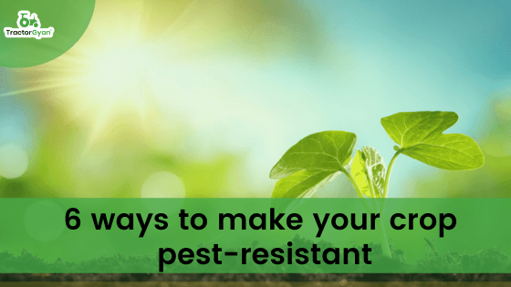 6 ways to make your crop pest-resistant image