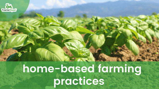 5 home-based farming practices which will let you earn a decent amount. image