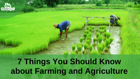 Agriculture is much more than you think: Here are 7 different branches you need to know. image