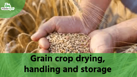 5 tricks to enhance the shelf-life of grains image