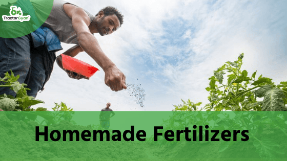 7 Shocking Homemade Fertilizers You Never Knew Could Increase Your Farm Productivity image