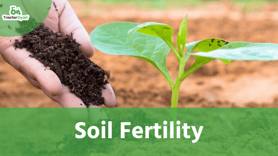 7 Tips to Increase Your Soil Fertility image