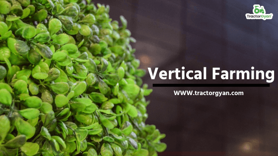 Vertical Farming: Modern spacious way of farming. image