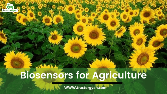 Biosensors for Agriculture image