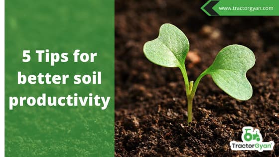5 tips for better soil health. image